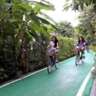 Cycling at Chatuchak Park - Thursday Morning