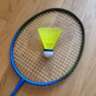 Let's Play Badminton Doubles and Have Fun Together