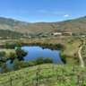 Grape Harvest Day in the Douro Valley
