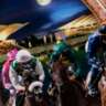 SPECIAL EVENT | Terrace & Horse Race on Thursday Night