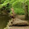 Women Only: Maisinger Gorge Walk