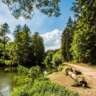 Escape the Heat: Kunratice Forest Walk