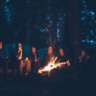 Backyard Neverland: A Not-So-Wild Camp Night