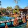 Downtown Cary Park Events (DISHOOM & Drum Circle/Fire Show)