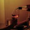 After Work Get Together for A Chat With Fresh Wine or Rare Beer