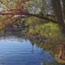 A Walk in the Park #11