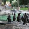 Hanging Out at the Zoo