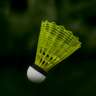 Friday Evening Badminton