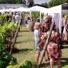 August Wine Festival