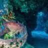 Let's Dive Cozumel!