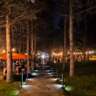 Escape the Heat: Garden Meetup at Bunch