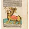 Let´s Visit Together: Dragons - Myth and Reality in Darmstadt