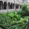Discover the Secret Sanctuaries of Zürich