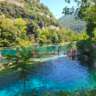 A Dive Into the Blue