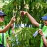 Guided Walk & Native Species Learning Opportunity