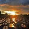 Friday Drinks&Sunset @Biergarten
