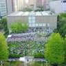 Tuesdays on the Terrace - Jazz at the MCA