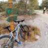 Cycling 4-2026 -  Forest Excursion