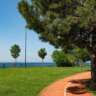 Maçka Park Walk, Coffee & Good Conversations