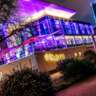 InterNations Frankfurt | Summer Garden Party @ MainNizza!