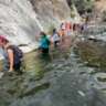 Hike, Wade & Swim; Charca De Las Castorade