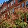 Summer Photowalk & Brazilian Flavors in the Upper West Side