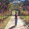 Walking Mindfulness