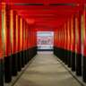 Japan Passion, an Immersive Exhibition