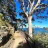 Bradleys Head to Chowder Bay