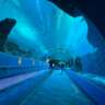 Sea Adventure in Atlanta