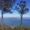 Island Escape Hike 26 & InterNations 19th Anniversary Happy Hour