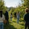 🌿🍎 Nature Walk & Fruit Picking 🍎🌿