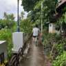 Cycling on Bang Kachao - Saturday Afternoon