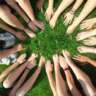 Changemakers Come Together to Plan Future Events