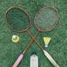 Badminton - Covered Court