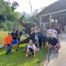 Volunteer at Kuala Gandah Elephant Sanctuary - 5th Edition!