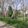 Walk and Talk 15