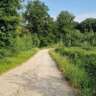 Easy Walk and BBQ Lunch in Neighboring Countryside!