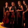 Let's Hang Out&Head to the 'Musicandle Concert'