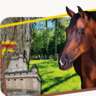 Let’s Walk the "Panamée" — the Horse & Bois De Vincennes🐴