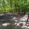 Hidden Green Trails: Kobylisy to Stromovka