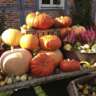 Vienna Harvest Festival 