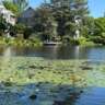 Checking out the Fauna and Flora of this Scenic Lake
