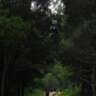A Walk in Sintra