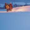 "Look Back" - Japanese Filmfestival (Selling Fast) 