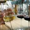 Wine Tasting in Bern: Meet & Sip With European Winemakers!