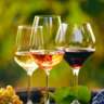 New Wine Concept: Best Kept-Secret’!   & Tapa to Summer Close 🍷