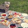 Tokyo Vegan Picnic – Autumn Edition