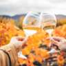 Autumn Wine Tasting 2026 in Zurich