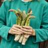 FARMERS MARKET